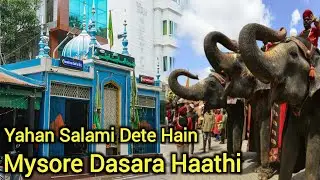 Yahan Salami Dete Hain Mysore Dasara Ke Haathi | Imam Shah Wali Dargah | Mysore Dargah