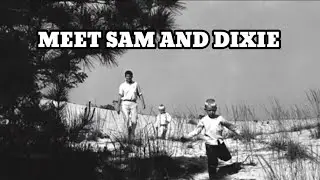 Andy Griffith's Real Children: The Tragic Story of Son Sam & Daughter Dixie