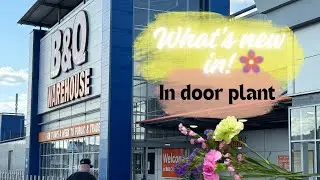 What&rsquo;s New in B&Q - New #flower & in door plantes #manchester June 2025 shop with me !