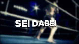 DEFENDERS FIGHTING CHAMPIONSHIP // PART 2 //  20.07.2013 // SCHARRena, Stuttgart//
