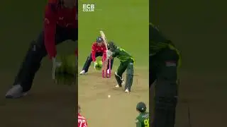 🙌 Mind-Blowing Catches in 2024! #shorts
