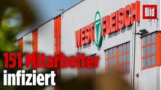 Schlachtbetrieb &bdquo;Westfleisch&ldquo; muss nach Corona-Ausbruch dichtmachen