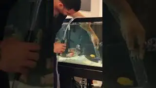 Vacuuming Sand Substrate 101