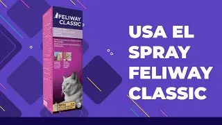 &iquest;C&oacute;mo usar el Spray Feliway Classic?