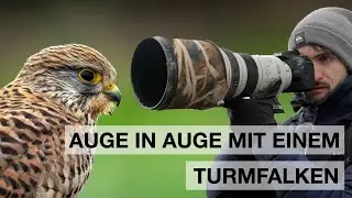 Naturfotografie bei Hochwasser | V&ouml;gel mit dem EF 300mm 2.8 fotografieren