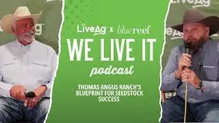 Thomas Angus Ranch's Blueprint for Seedstock Success | We Live It Livestock & Ranching Podcast