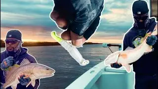 Why You Should ALWAYS Keep These Lures in the Boat *ALMOST EVERY CAST!!!*
