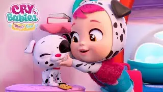 SPOT, you have the ANNUAL SHOT! 💉🐶  HAPPY FLOWERS 🌸🌻🌹 CRY BABIES 💧 MAGIC TEARS 💕  CARTOONS for KIDS