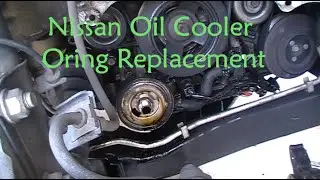 Расположение и замена уплотнительного кольца масляного радиатора Nissan Maxima 2009-2014 гг.