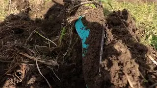 Kubota | Horse plow | Undervine Cultivation