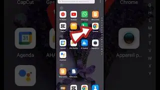 #google Chrome, comment activer navigation priv&eacute;e sur Chrome ? #short #video