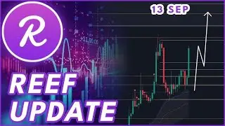 REEF COIN UPDATE IN HINDI | REEF LONG OR SHORT