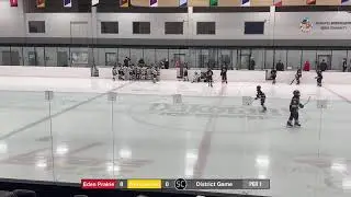 PL Squirt B2 Gold 2526 Live Stream