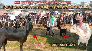 |PURE झारखंड उत्तर प्रदेश से पहुंचते हैं खरीदारी वाले| विन्धमगंज बकरा मंडी लाइव अपडेट 24 फरवरी 2025|