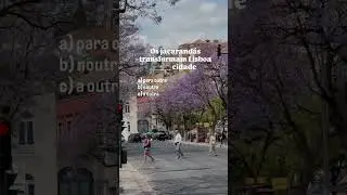 🇵🇹 Test your Portuguese skills! 🎯📚 European Portuguese grammar test #learnportuguese