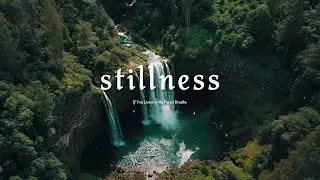 If You Listen to the Forest Breathe 🍃 Relaxing Piano Music for Healing & Inner Stillness
