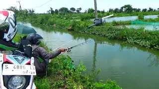 BAHAGIANYA PEMANCING,, Spot liar yang dilarang mancing yg banyak ikannya sekarang dibayarkan 20 ribu