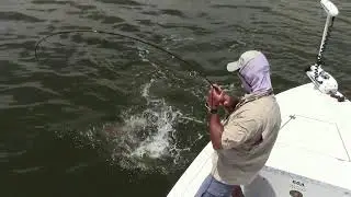 Mosquito Lagoon Redfish Using DOA Fishing Lures July 2013