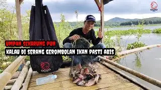 SAMPE LUPA NGOPI 😱,,!! Karna terlalu banyak Strike,,!! || Mancing Cirata terbaru