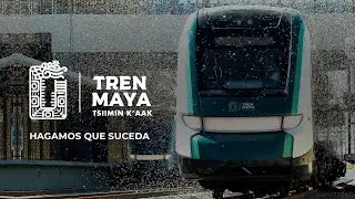 Hagamos que suceda | Tren Maya Tsíimin K´ áak
