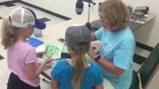 Tang Math Summer Camp