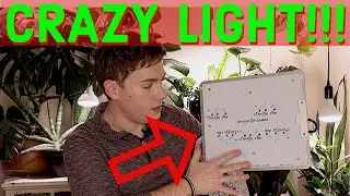 NEW GROW LIGHT |  SPIDER FARMER LED Grow Light!