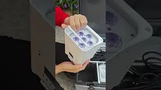 battery 6leds rgbwa uv 6in1 led uplighting