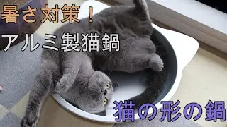 Heat Protection! Aluminum cat pot!