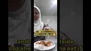 feeding #homelesscat  #remaricampilan #ofw #saudiarabia