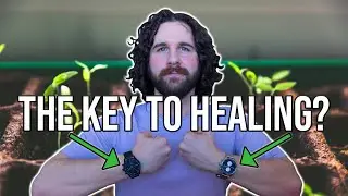 The Best Way to Heal Chronic Pain - (And what keeps you STUCK)