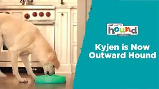 Kyjen is now Outward Hound