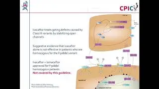 CPIC guideline for Ivacaftor and CFTR