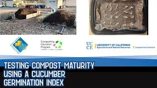 Testing Compost Maturity Using a Cucumber Germination Index