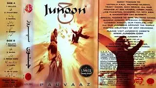 Pakistani Pop Jhankar Songs (Junoon Full Album ,Parwaaz} With Lips Stereo