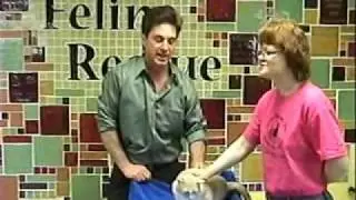Adopt-a-Pet visits Feline Rescue Ep 1 Part 1