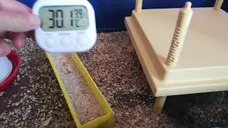 retour sur l élevage des cailles