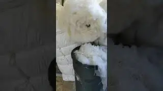 Firm Wool Mattress, Hand made in the USA since 1981