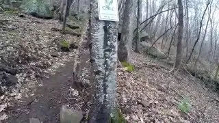 Hike to Little Bearwallow Falls - Hickory Nut Gorge