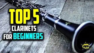 ✅ 5 Best Clarinets for Beginners Review of 2021 | Jean-Paul, Mendini, Hisonic & Others