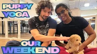 Puppy Yoga || Our Simple Weekend || Must Try Activity In Milwaukee