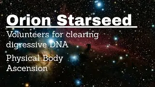 Orion Starseed, Volunteers for clearing digressive DNA, Physical body ascension @IndigoAngel