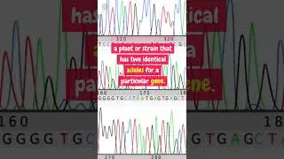 Homozygous