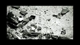 【公式】Plastic Tree「サナトリウム」（MV）【28thシングル】