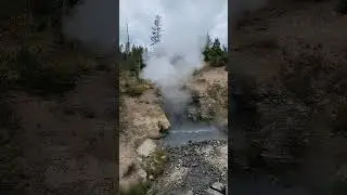 Dragons Mouth Yellowstone Close  | Mud Volcano | The Unforgettable Adventures #YellowstoneWith365sol