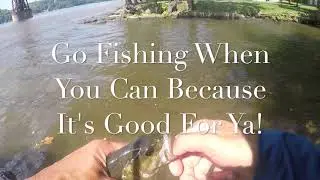 Don't Think About It, Just Go Fish!!!