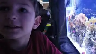 Zander's Favorite Sea Apple