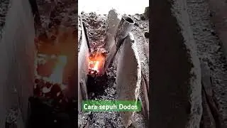 Cara sepuh Dodos sawit
