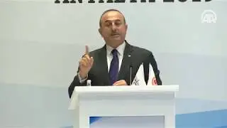 The Turkish Foreign Minister reacted to French deputy.