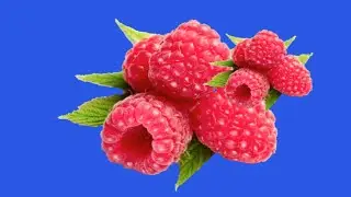 rotating & 3d green screen Raspberry fruit/  raspberry fruit green screen VIDEO