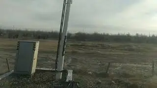 Many horses from the train window on January 17th